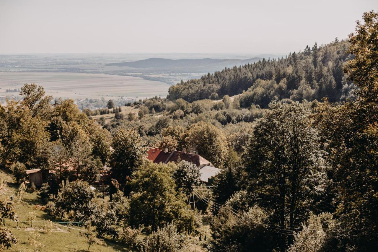 Villa Hubertus Srebrna Góra Exterior foto