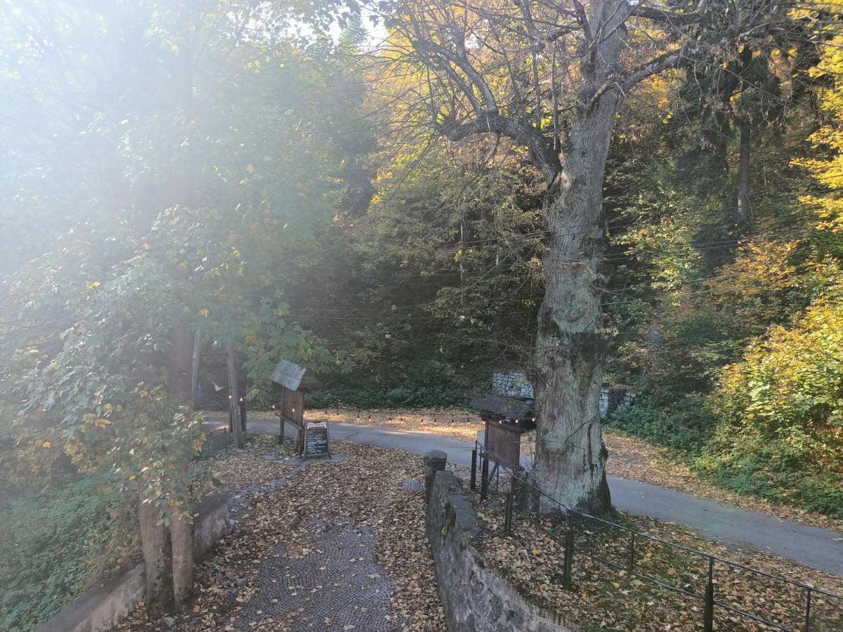 Villa Hubertus Srebrna Góra Exterior foto